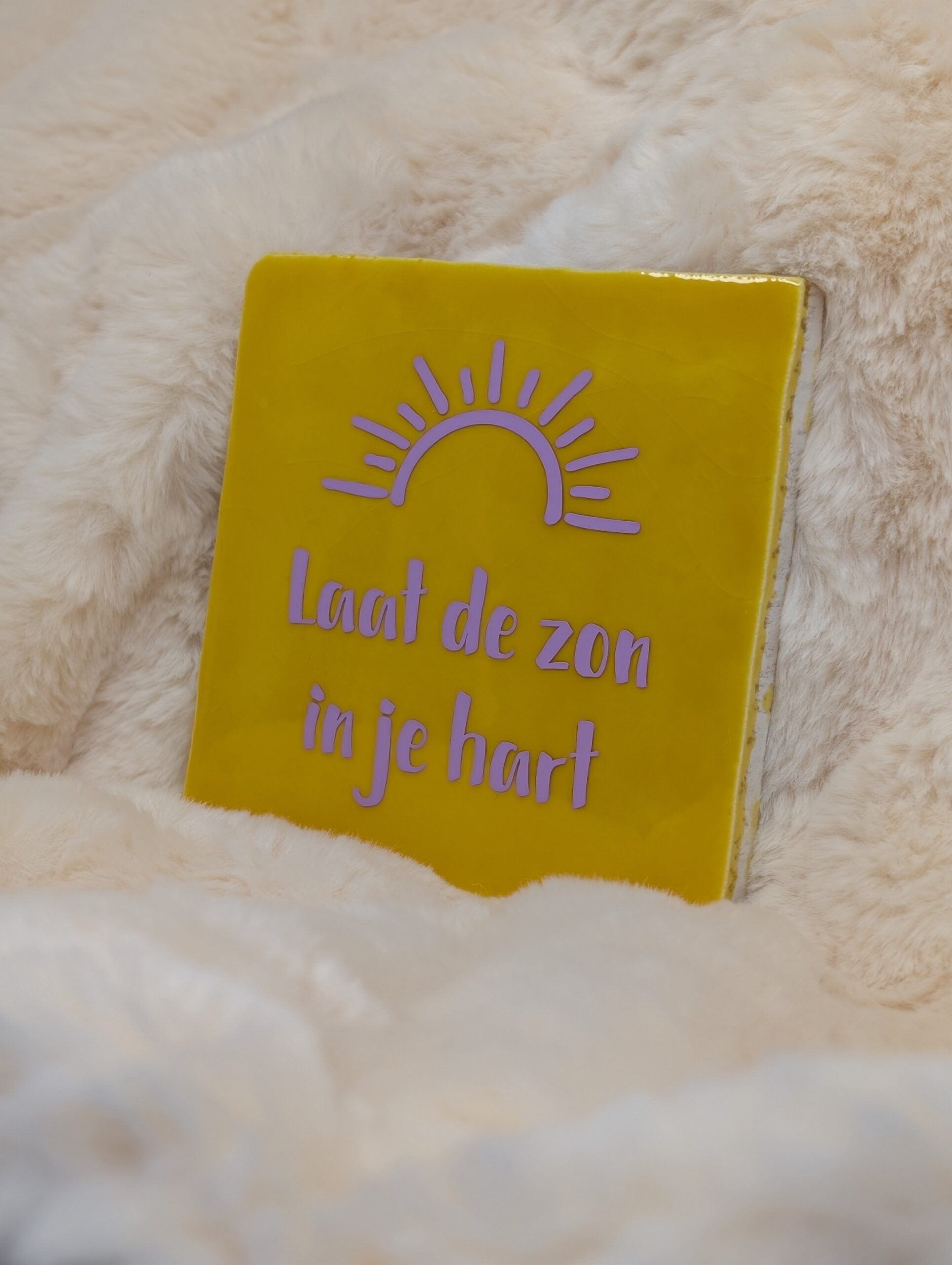Laat de zon